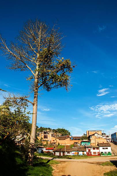 Huila al Límite